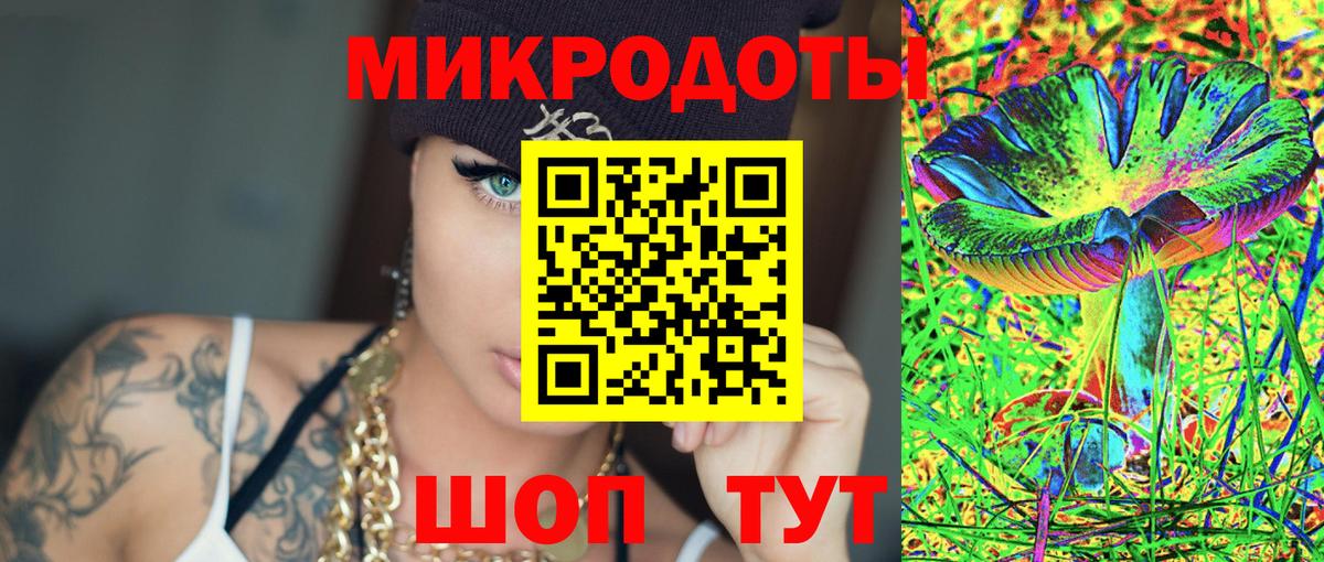 Псилоцибиновые грибы Cubensis Аргун