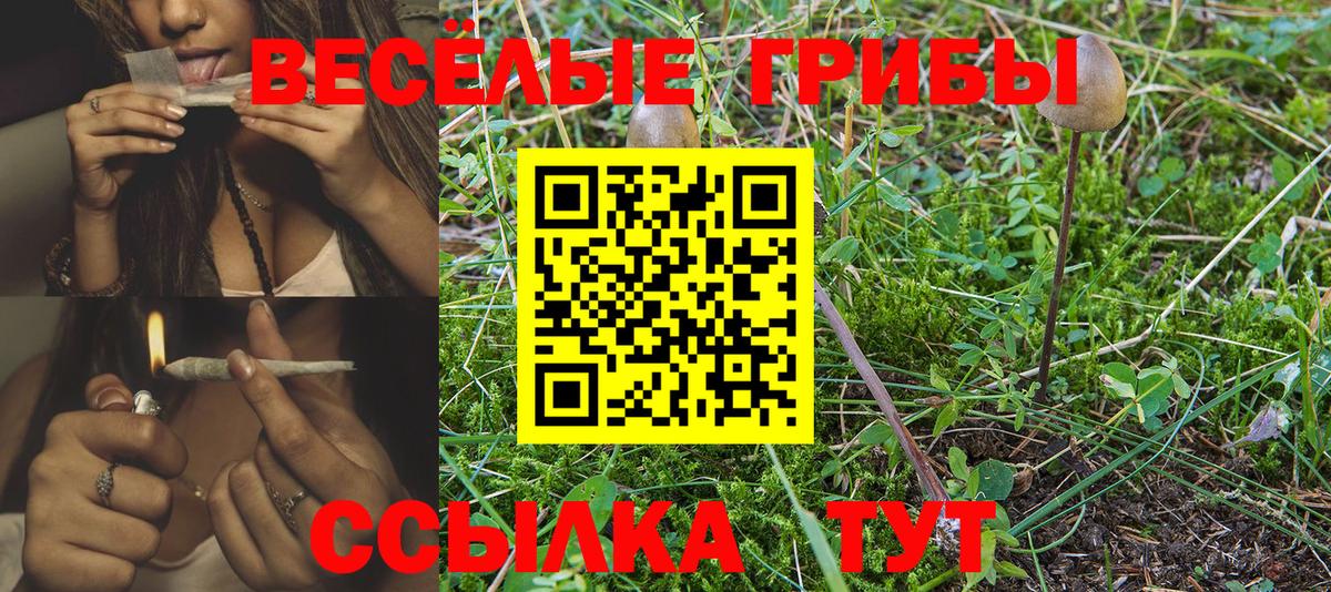 Аргун  Псилоцибиновые грибы Psilocybe  Вход с VPN  Галлюциногенные грибы мицелий 